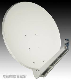 Gibertini Antenne SE 100cm 6er Bulk lichtgrau